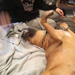 Meet your Posher, Jack